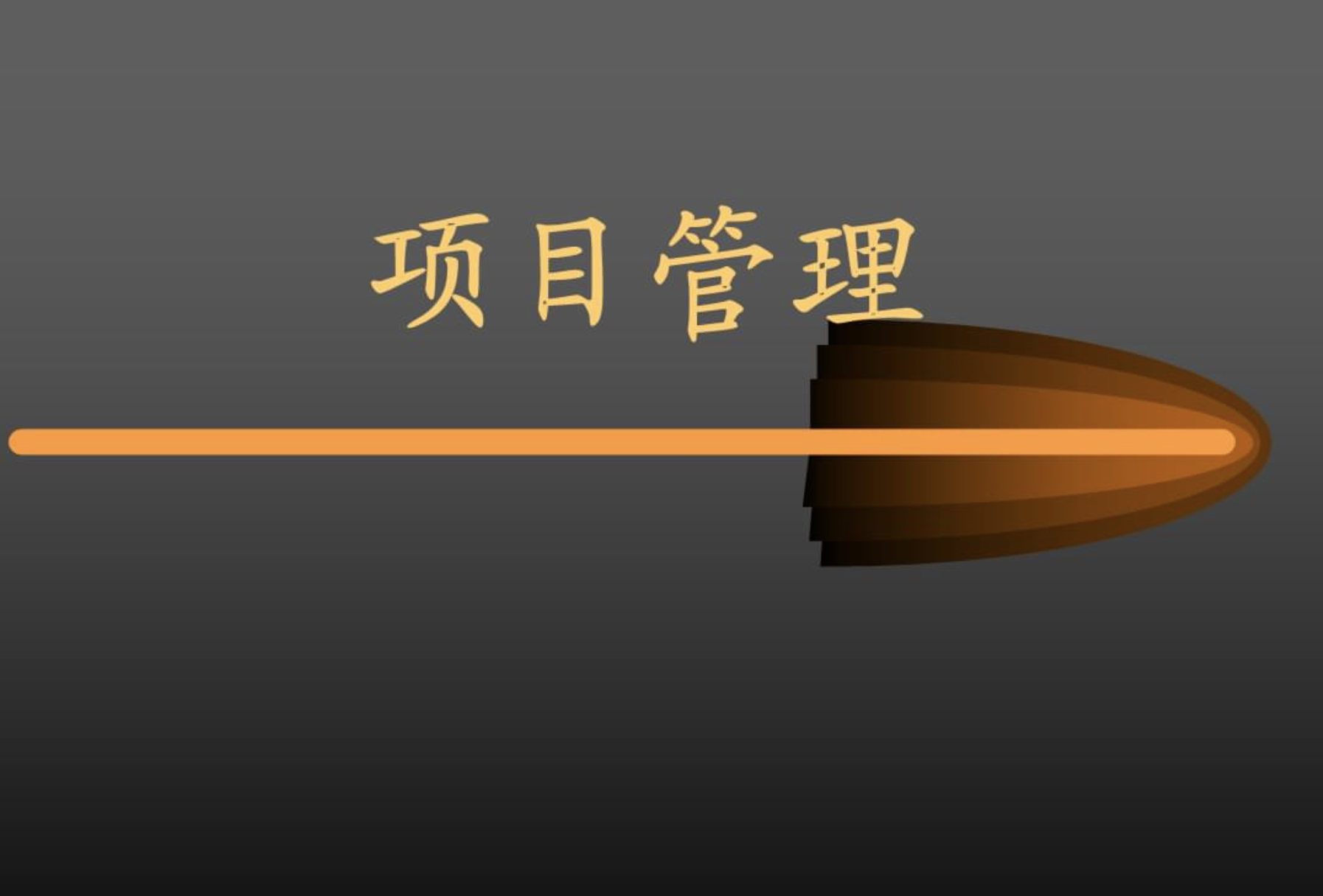 项目管理