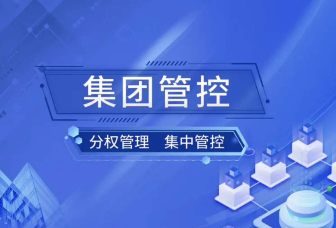 集团管控