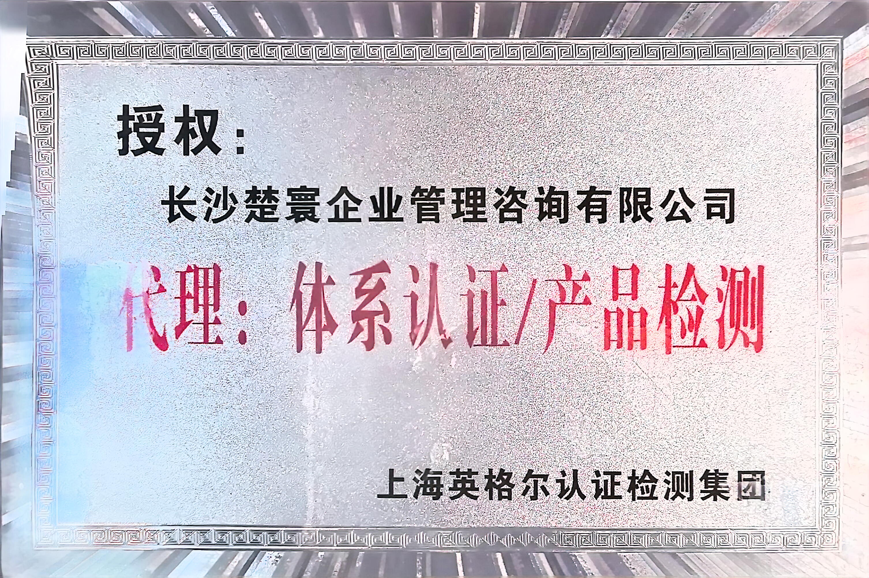 资质一