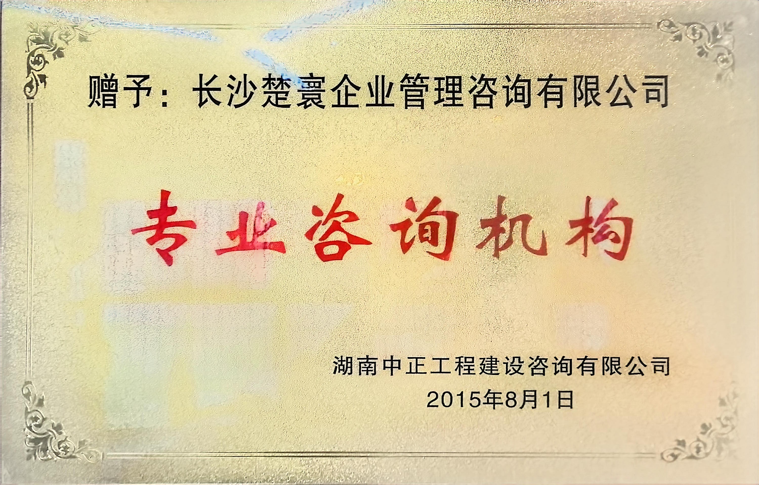 专业咨询机构 2