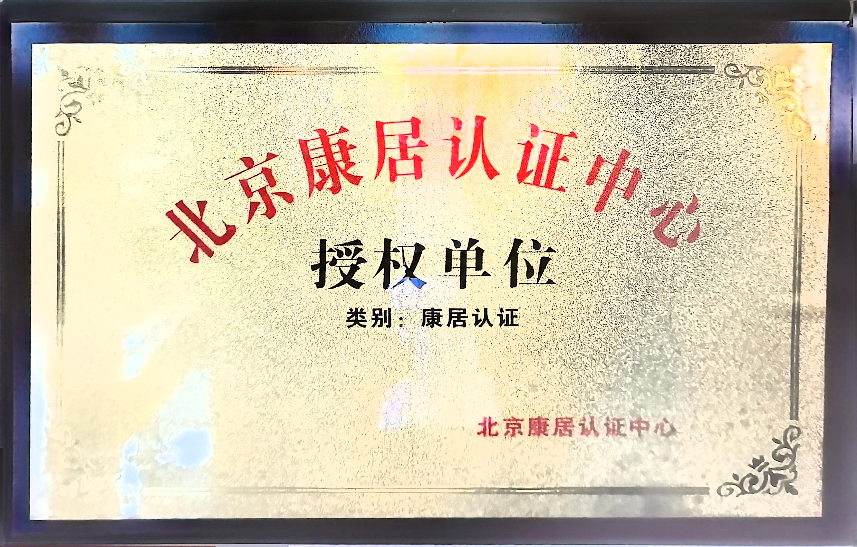 资质五