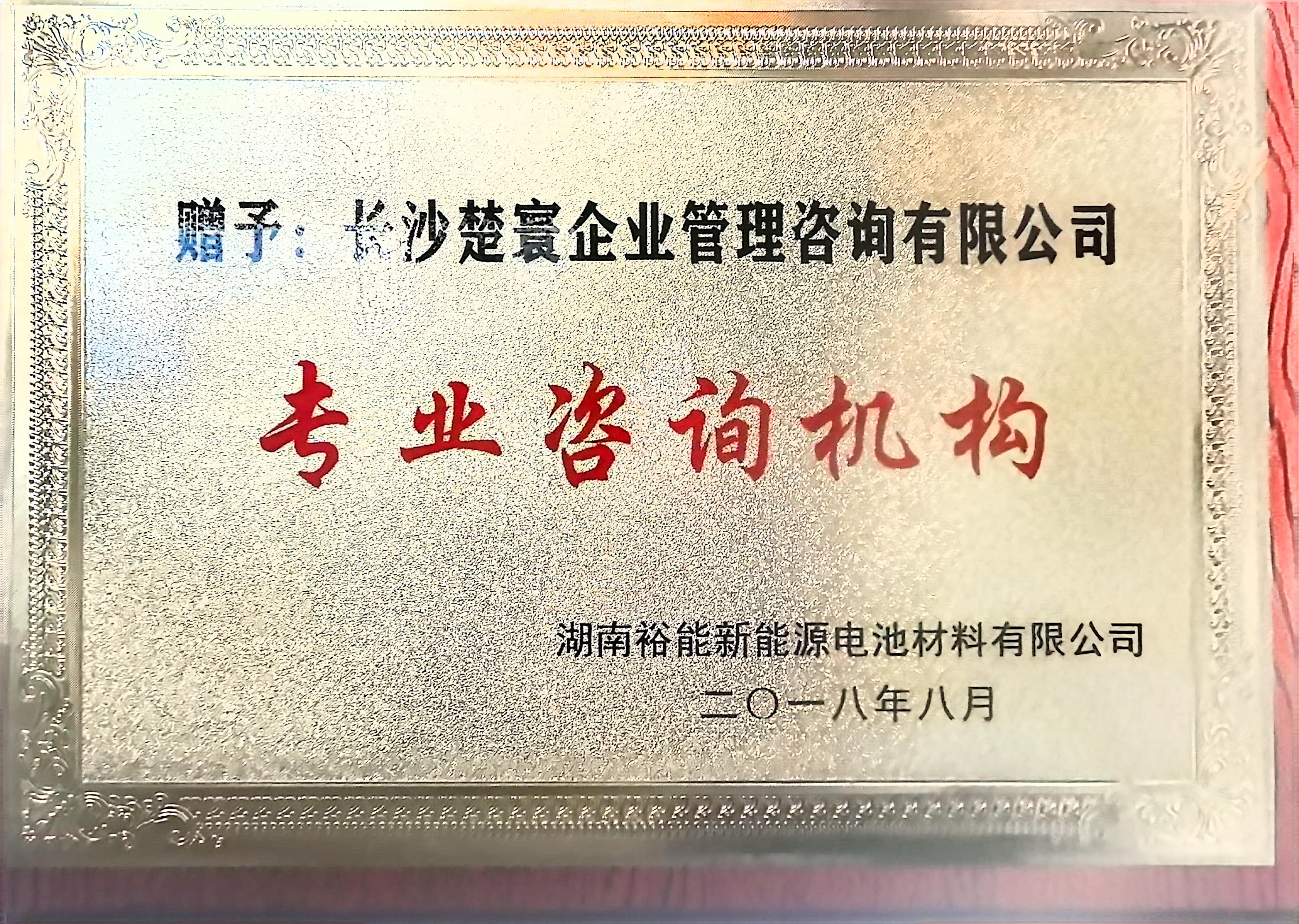 专业咨询机构