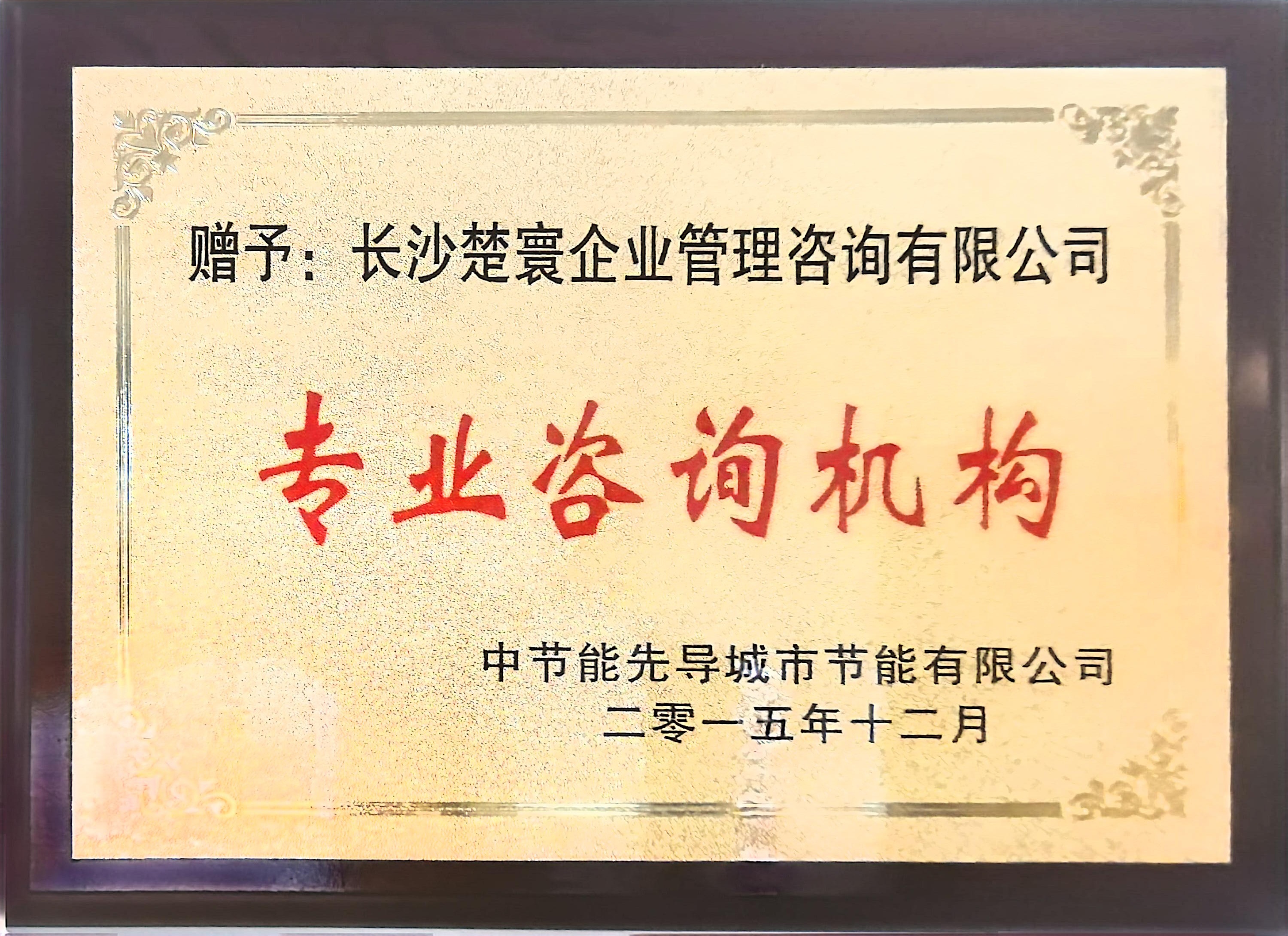 资质七